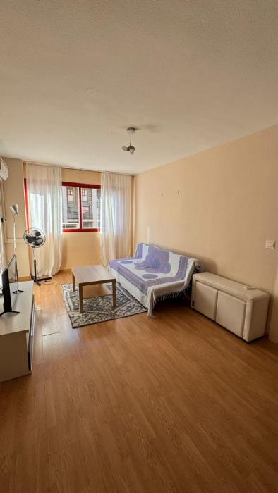 Ciudad de las Artes apartmento