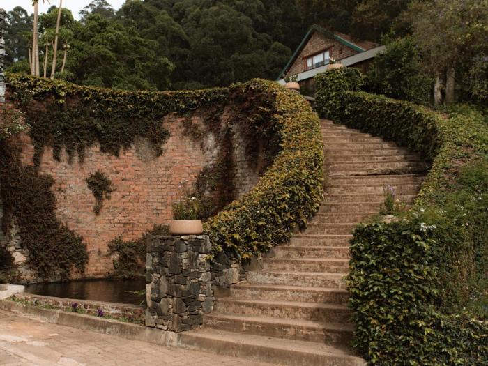 Magoebaskloof Mountain Estate