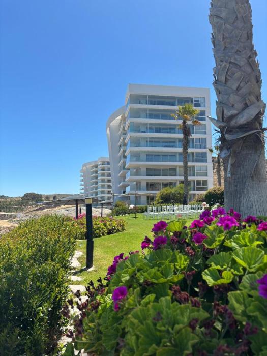 Departamento Playa blanca Tongoy