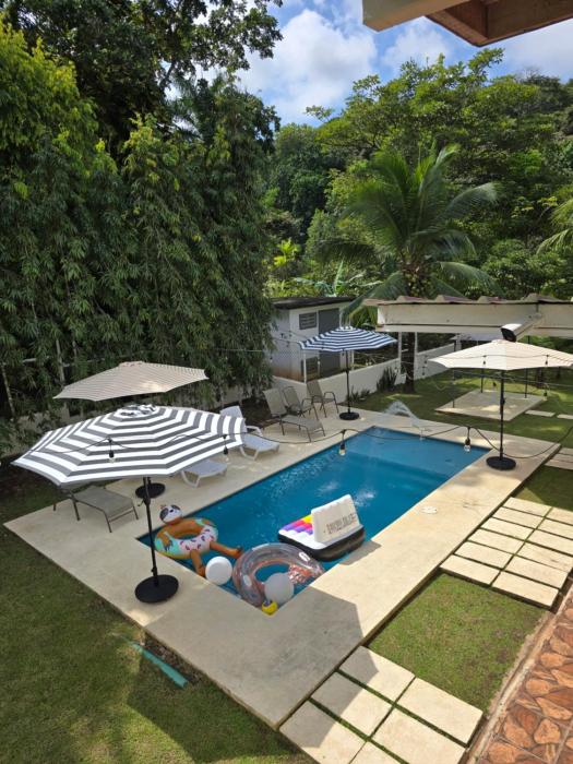 oasis with pool near Panama Canal