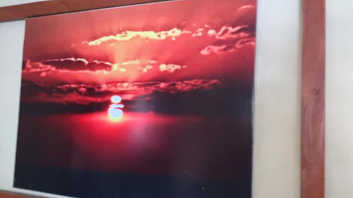 The Healing Point lodge kafue