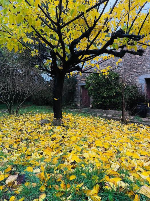 LOstal des Embruscalles