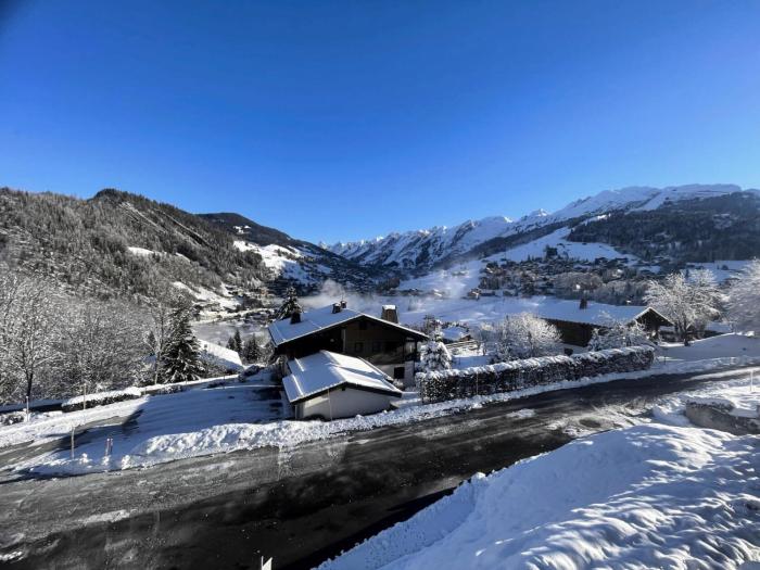 Appartements à La Clusaz - RICHEMONT 12 MAE-6381