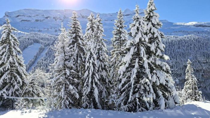 Résidence Les Pleiades - Appartement lumineux et confortable · Centre station · Balcon · Parking couvert MAE-7351