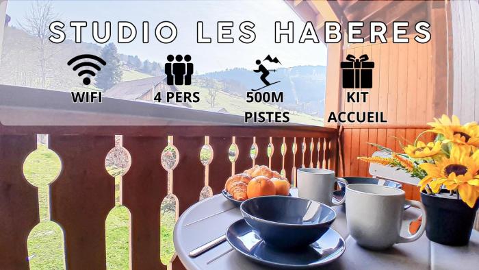 YHôtes - Studio à 5min à pieds des pistes de ski