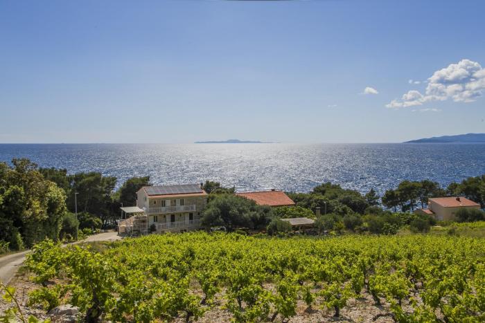 Family friendly seaside apartments Dingac - Borak, Peljesac - 18060