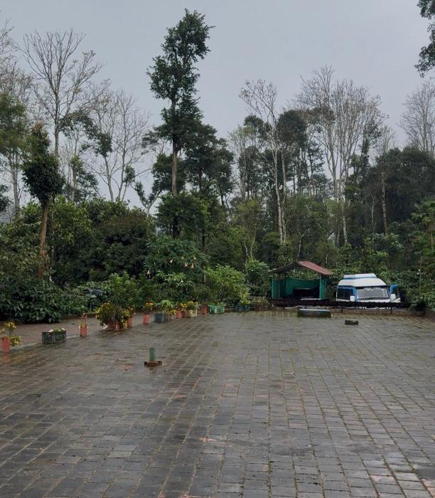 COFFEE ESTATE STAY COORg