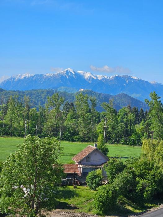 Mountain View Amza Accomodation