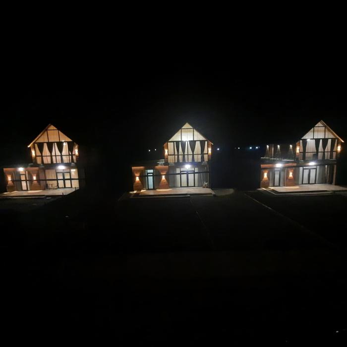 Dream House borjomi sadgeri