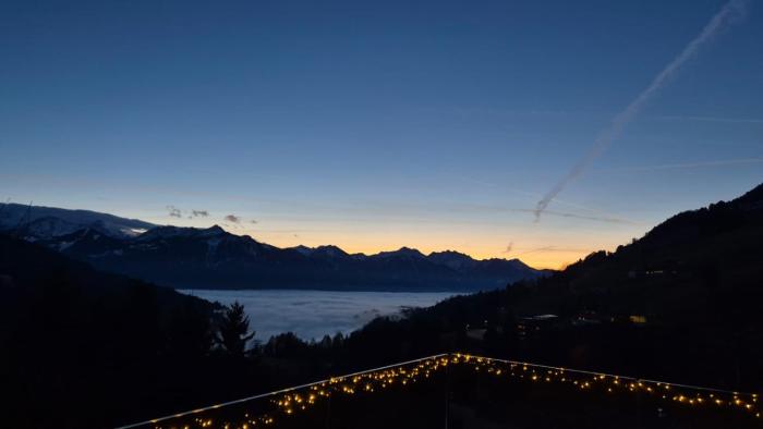 Modern Mountain View