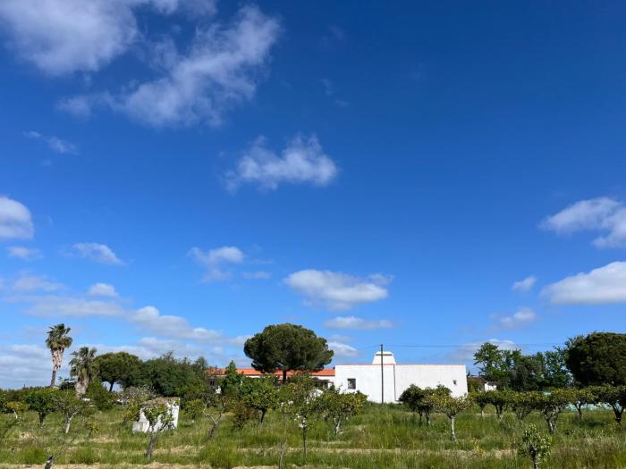 Monte da Palmeira Feedme Farm