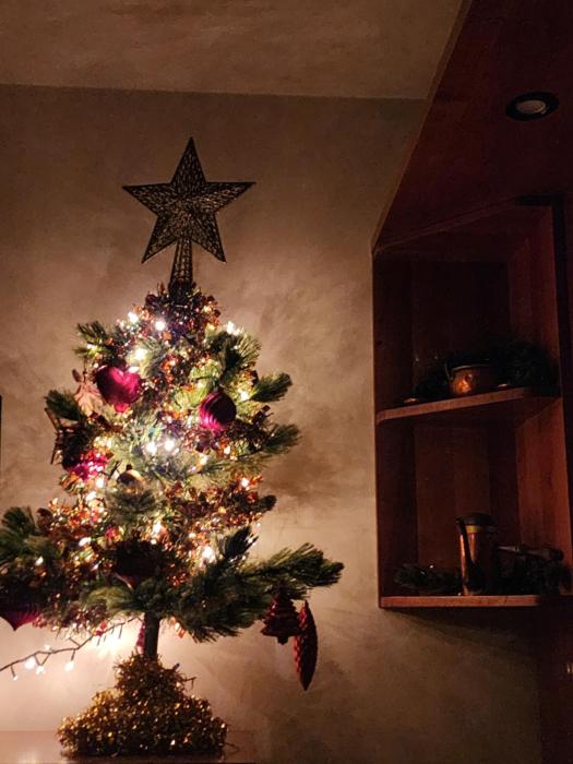 Il Glicine di Marco Polo