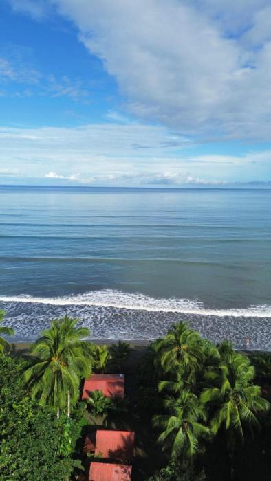 El Retoño del Negro Gozón
