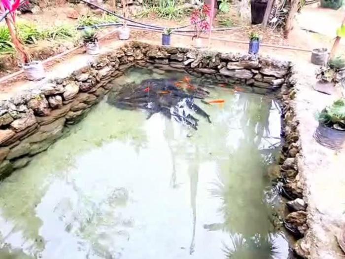 Mitery Homestay By StayApart