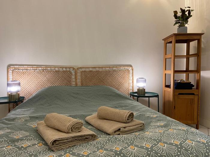 Charmant studio centre-ville Orléans