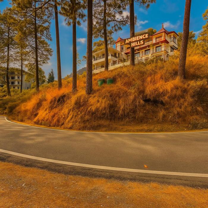 Hotel The great #ambience #balcony view #mountainview #parking