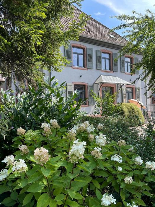 Pfarrgarten