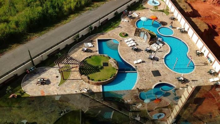 Golden dophin supreme