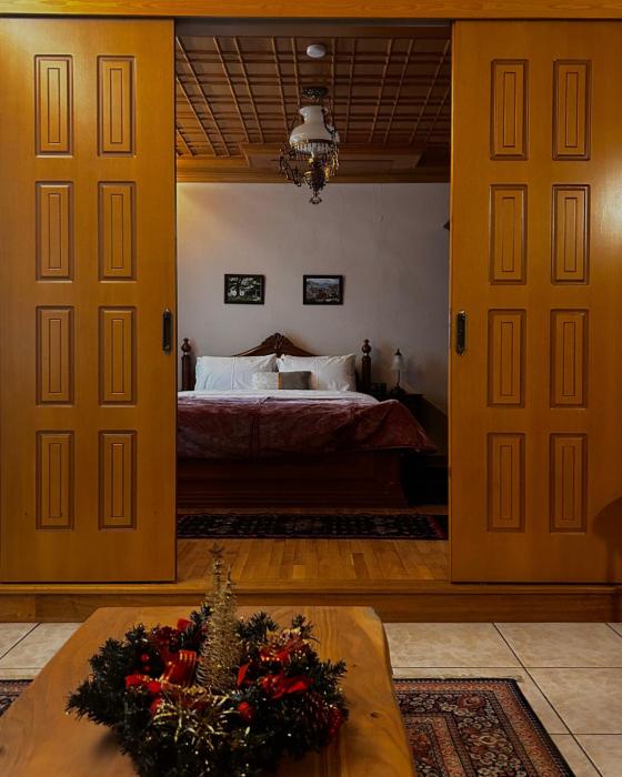 MetsoVillas στο κέντρο του Μετσόβου