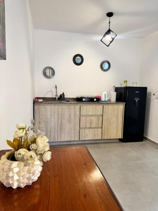 Moderno dpto zona norte 1 dorm