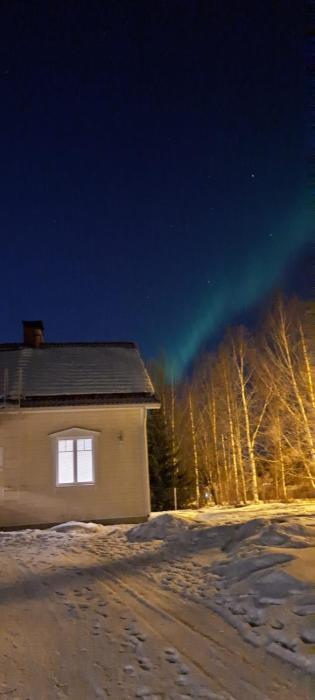 Spacious detached house for a larger group