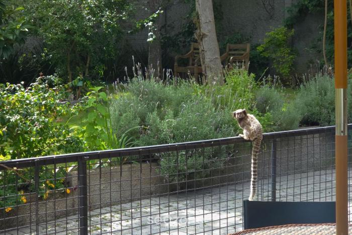 Seu refúgio em Florianópolis, a poucos minutos da praia – NDE