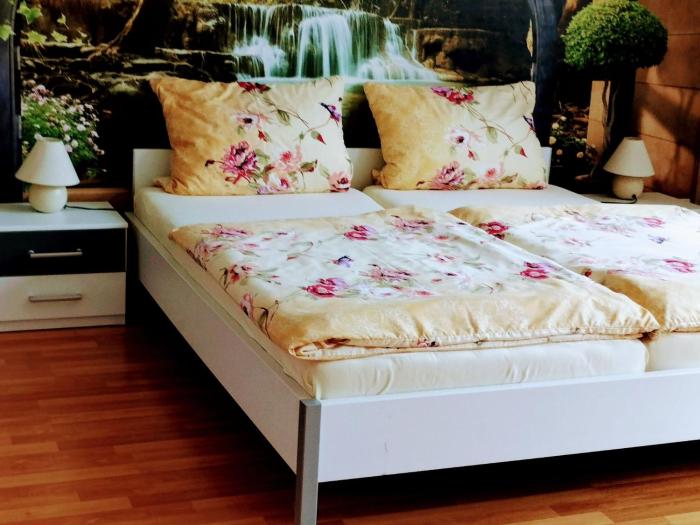 Apartment Am Birkenwäldchen by Interhome