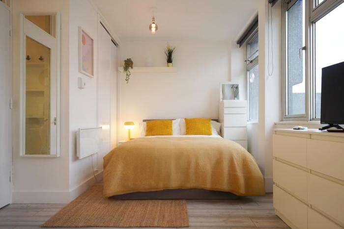 New Refurbish Studio to rent in Euston - Central London