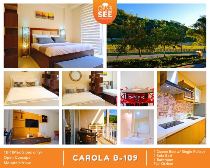 PICO DE LORO Pool Accessible CAROLA 1 Bedroom Units by SEE Condominiums