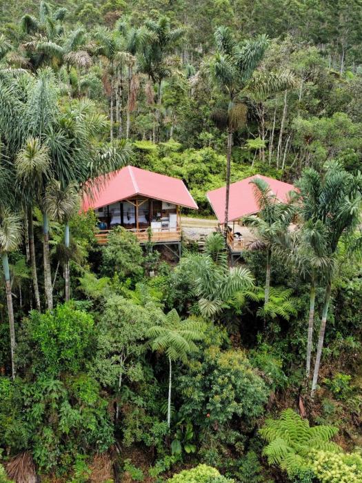 Cabaña El Palmeral, Oxapampa