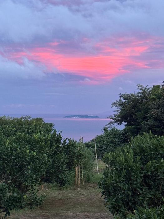 Atami Ocean View Sakura 熱海オーシャンビューサクラ