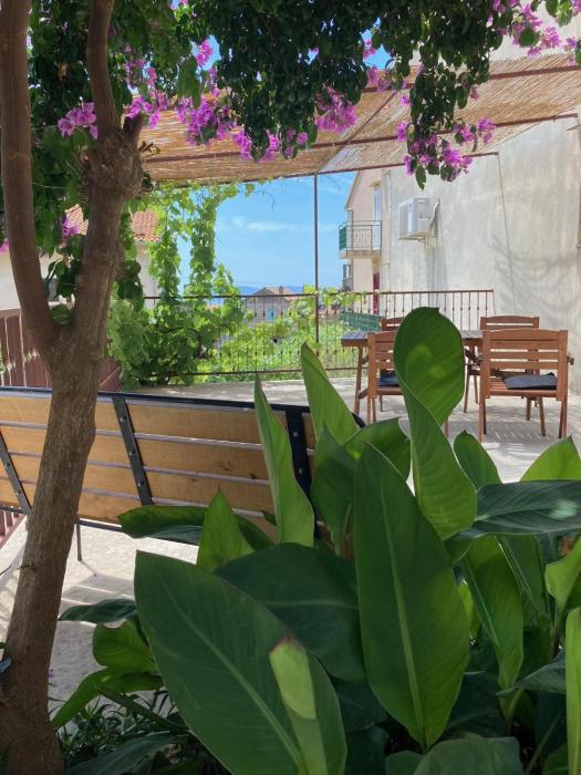 Apartments Mimosa Komiza - Lavander