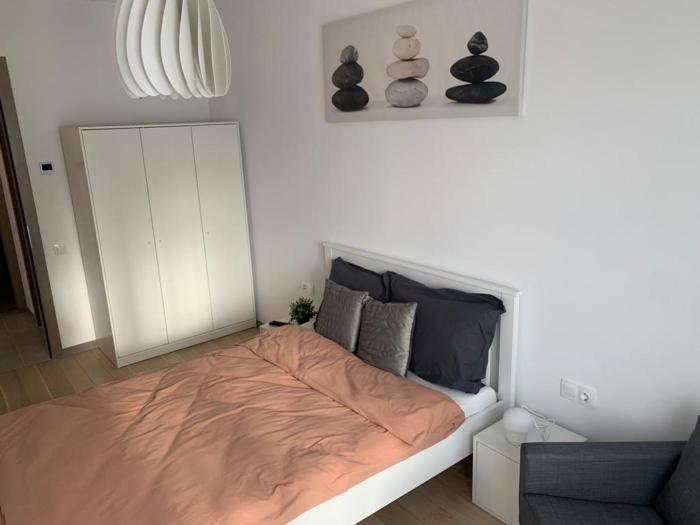 Beautiful Luxury 2 Bedroom Apartment - Timisoara City Center