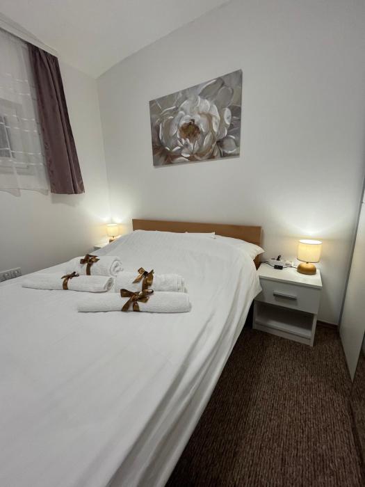 Apartmani MOSLAVINA i parking