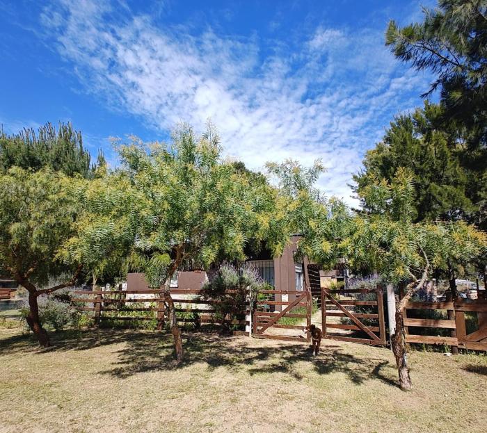 Mis abuelos Nueva Atlantis