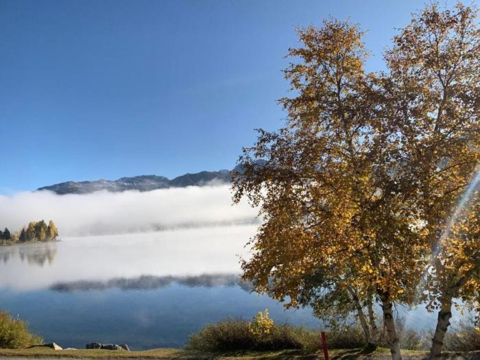 Apartment Arnica 2 La Punt by Interhome