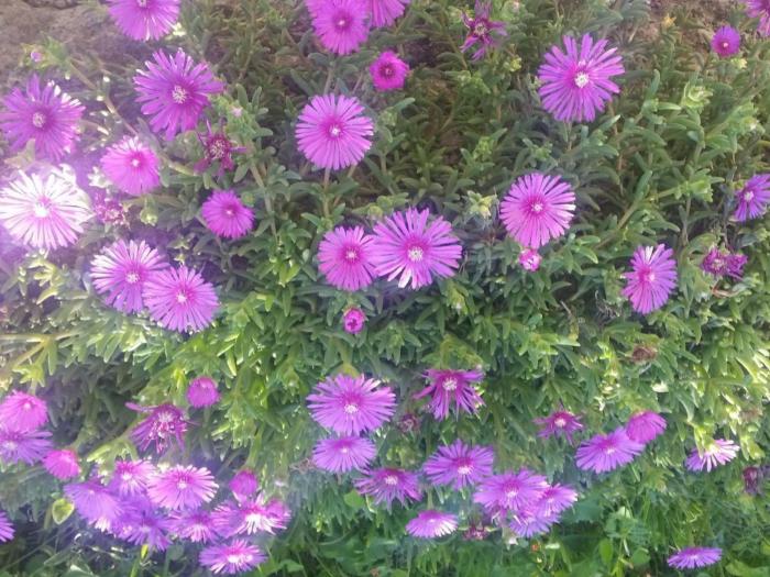 Apartment Gemütliche Wohnung Andrea in Opatija by Interhome