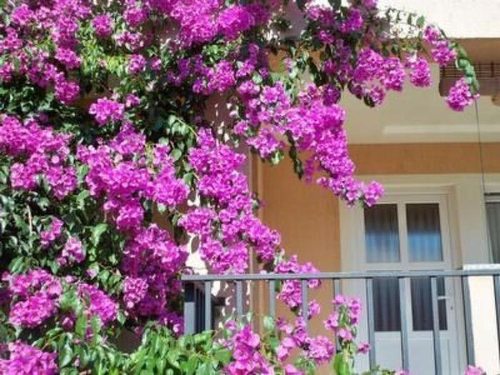 Apartment mit privater Terrasse by Interhome