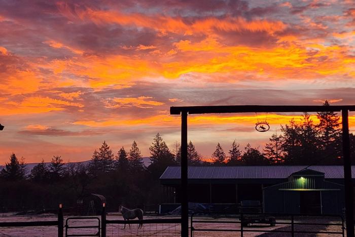 Willamette Valley Home on Working Horse Farm!