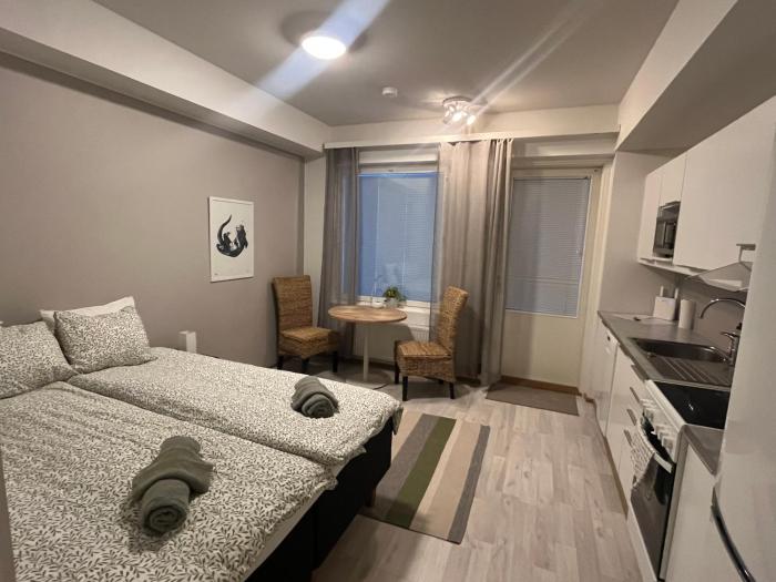 Cozy studio in the center