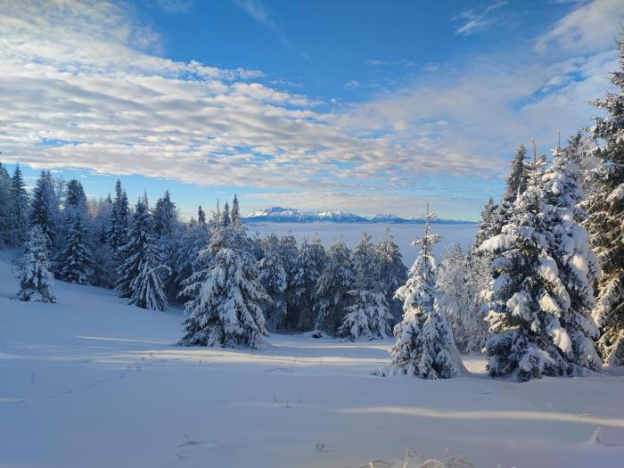 Mieszkanie nad Popradem 2