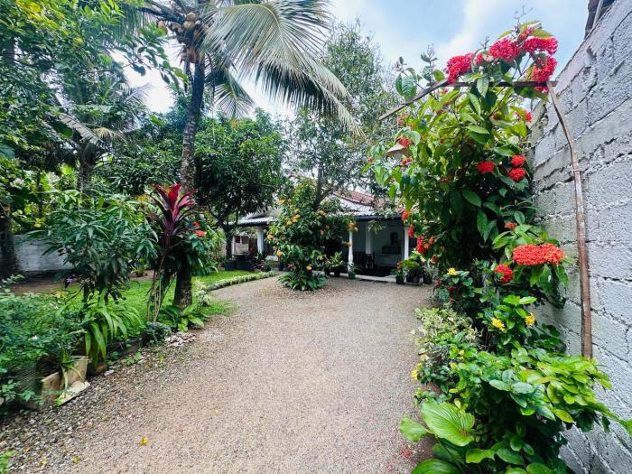 Diamond Home Stay