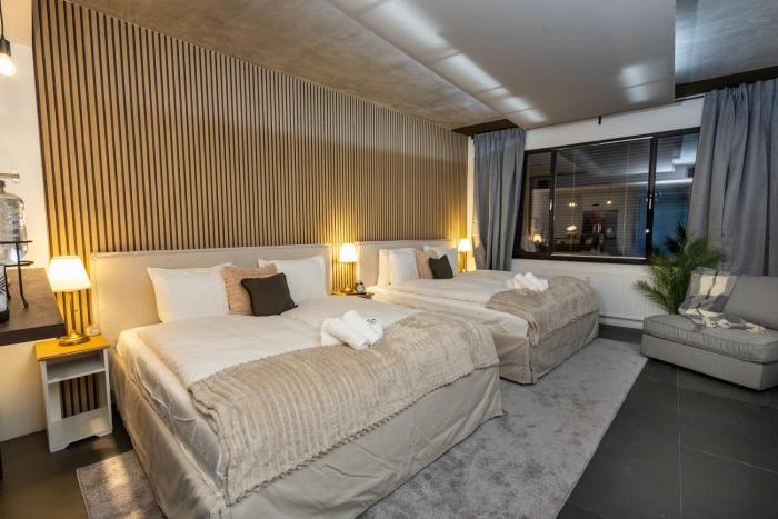 Danube Panoramic Studio on Schwedenplatz- 2 King Beds