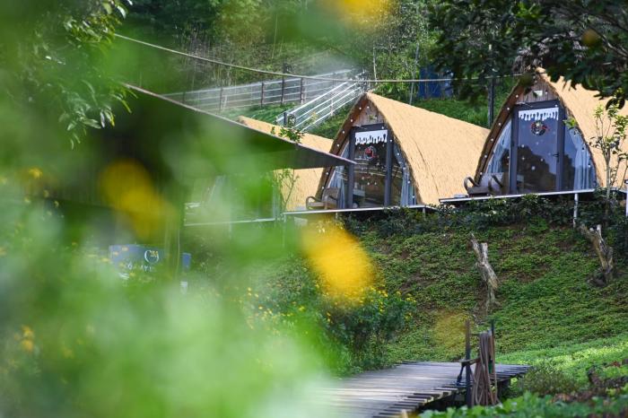 Cỏ Mây Wonder Homestay