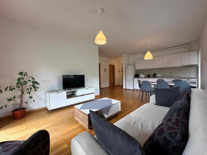 Golden Goose Apartment