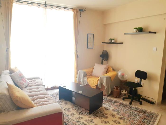 Cozy apartment