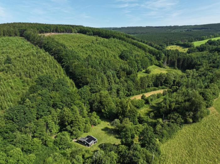 Chalet Woodyoustay