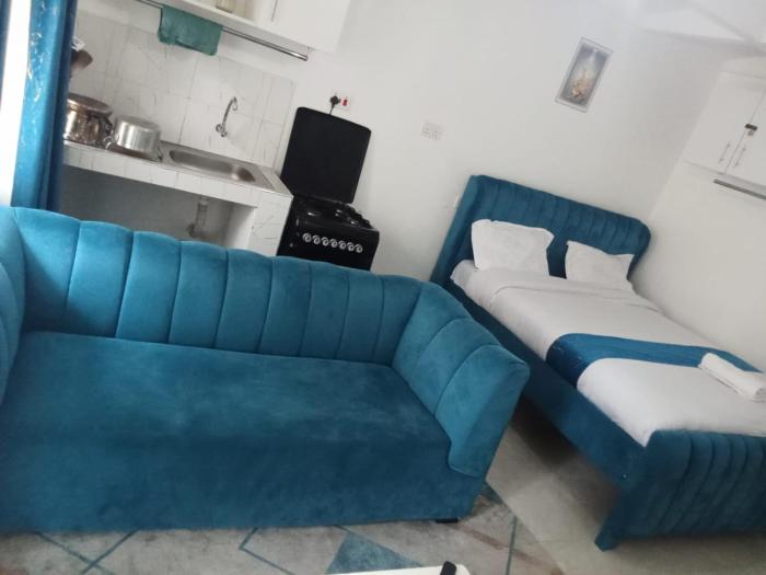 Studio Apartment Roysambu TRM Drive Thika Road