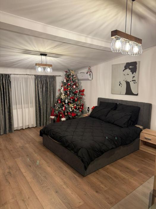 Studio modern,ideal pentru 2 cupluri sau o familie cu 2 copii