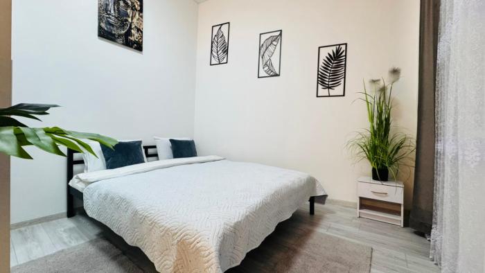 Апартаменти Шпитальна